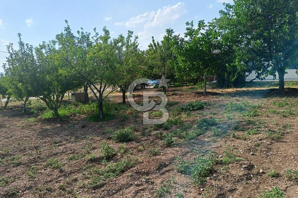 GÖLBAŞI OĞULBEY'DE 3+1 145 M2 GENİŞ BAHÇELİ BOŞ KİRALIK VİLLA