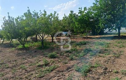 GÖLBAŞI OĞULBEY'DE 3+1 145 M2 GENİŞ BAHÇELİ BOŞ KİRALIK VİLLA