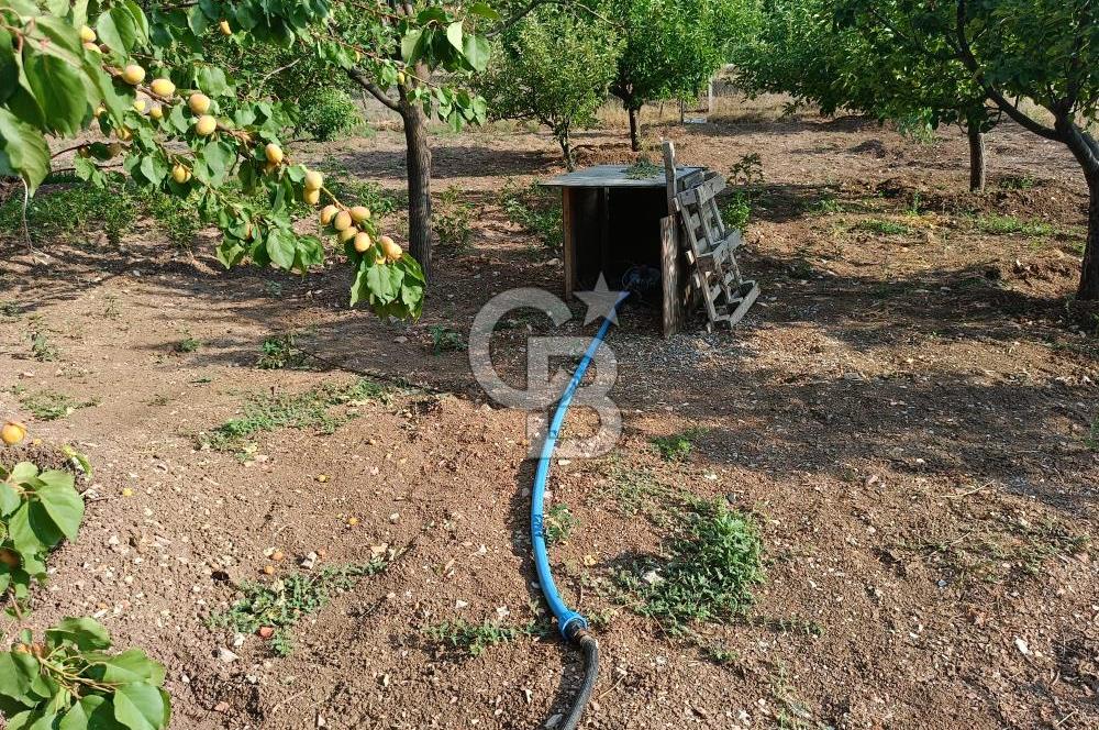 GÖLBAŞI OĞULBEY'DE 3+1 145 M2 GENİŞ BAHÇELİ BOŞ KİRALIK VİLLA