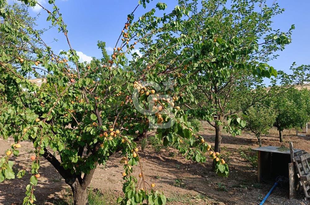 GÖLBAŞI OĞULBEY'DE 3+1 145 M2 GENİŞ BAHÇELİ BOŞ KİRALIK VİLLA