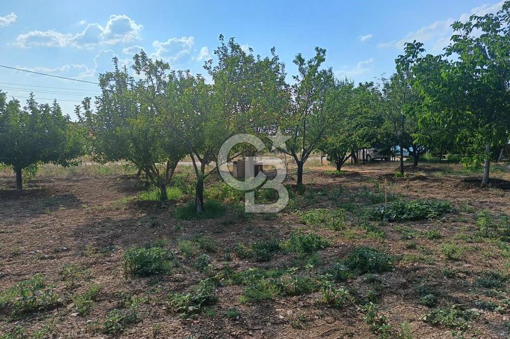 GÖLBAŞI OĞULBEY'DE 3+1 145 M2 GENİŞ BAHÇELİ BOŞ KİRALIK VİLLA