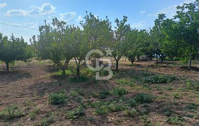 GÖLBAŞI OĞULBEY'DE 3+1 145 M2 GENİŞ BAHÇELİ BOŞ KİRALIK VİLLA