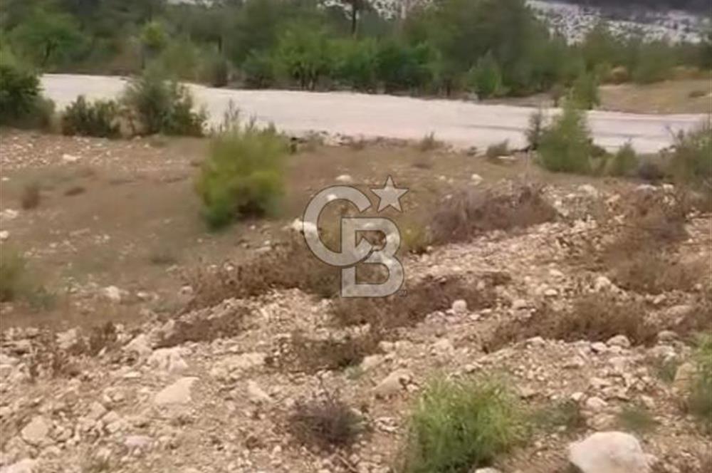 CB GİZ'DEN KAŞ ÇAVDIR'DA SATILIK TARLA