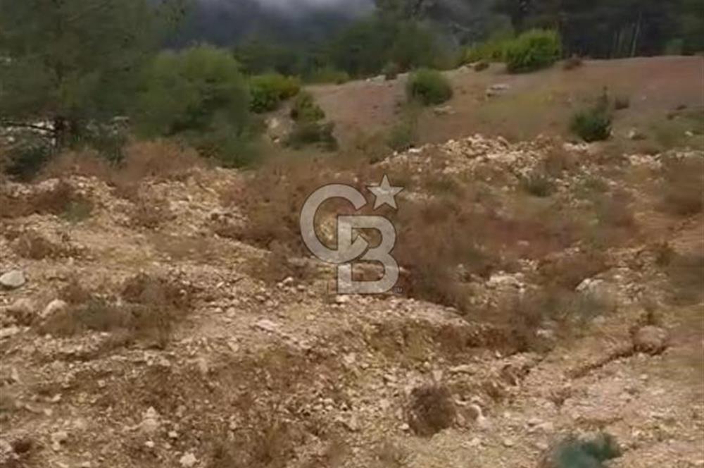 CB GİZ'DEN KAŞ ÇAVDIR'DA SATILIK TARLA