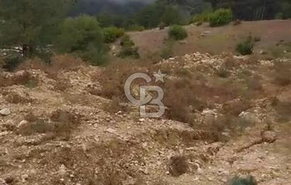 CB GİZ'DEN KAŞ ÇAVDIR'DA SATILIK TARLA