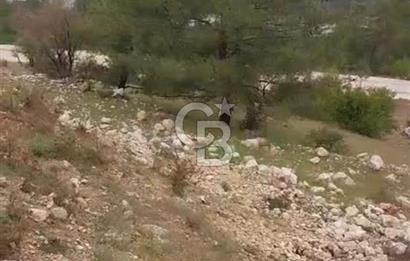 CB GİZ'DEN KAŞ ÇAVDIR'DA SATILIK TARLA
