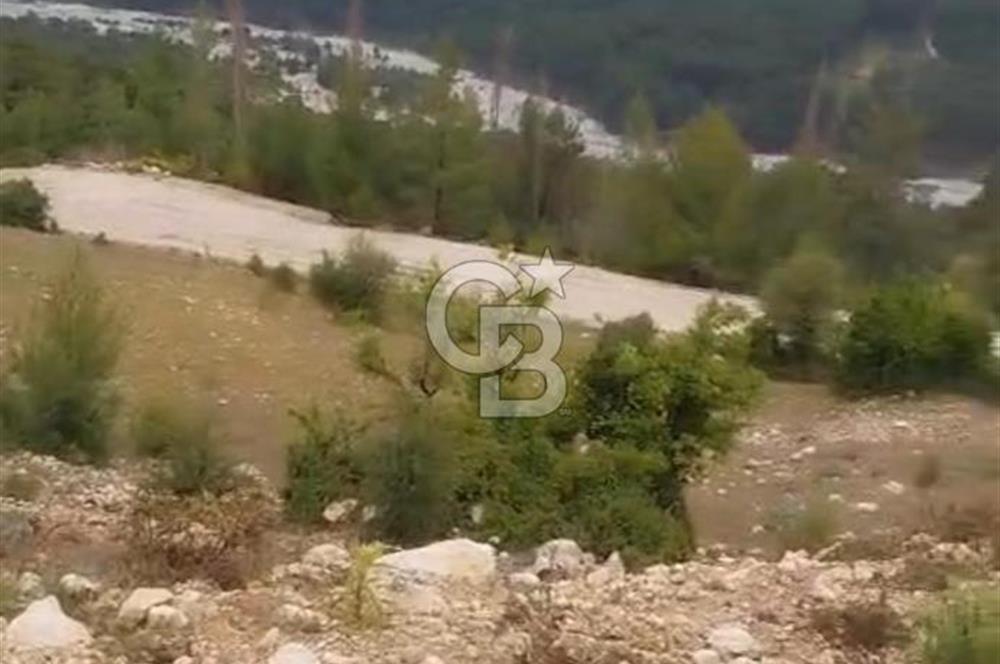CB GİZ'DEN KAŞ ÇAVDIR'DA SATILIK TARLA