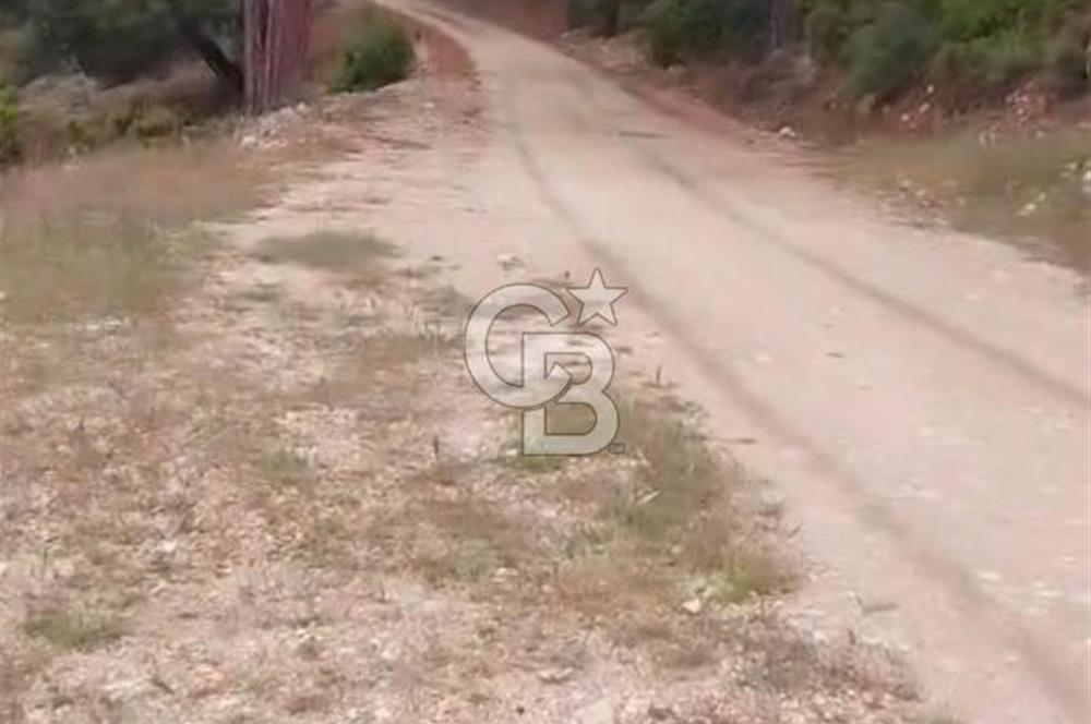CB GİZ'DEN KAŞ ÇAVDIR'DA SATILIK TARLA