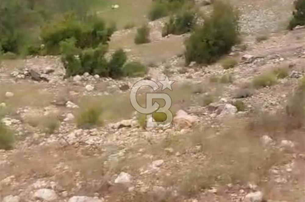 CB GİZ'DEN KAŞ ÇAVDIR'DA SATILIK TARLA