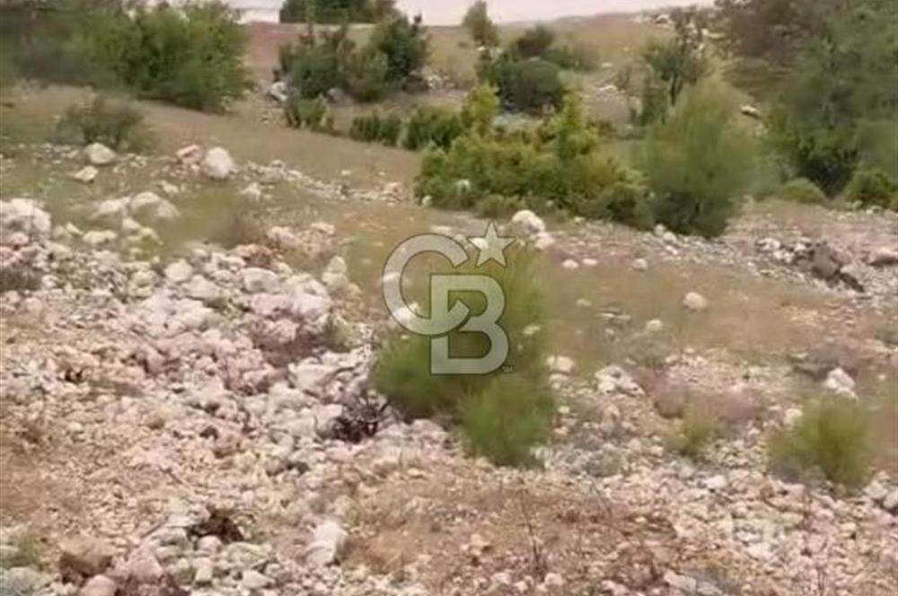 CB GİZ'DEN KAŞ ÇAVDIR'DA SATILIK TARLA