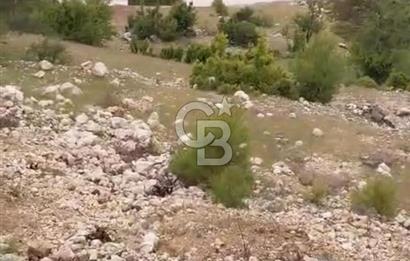 CB GİZ'DEN KAŞ ÇAVDIR'DA SATILIK TARLA