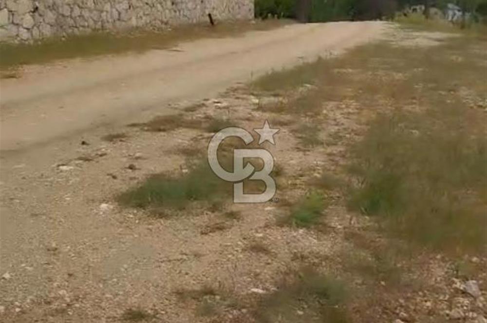 CB GİZ'DEN KAŞ ÇAVDIR'DA SATILIK TARLA
