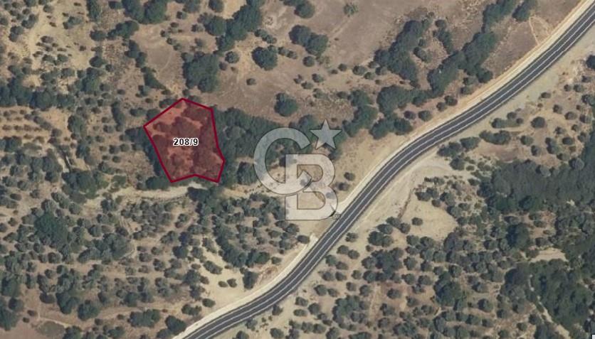 ÇANAKKALE GÖKÇEADA TEPEKÖY SATILIK ZEYTİNLİK 1.800 M2 YATIRIMLIK