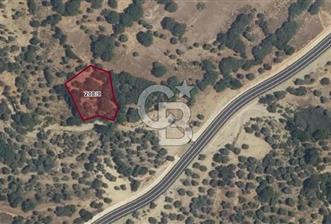 ÇANAKKALE GÖKÇEADA TEPEKÖY SATILIK ZEYTİNLİK 1.800 M2 YATIRIMLIK