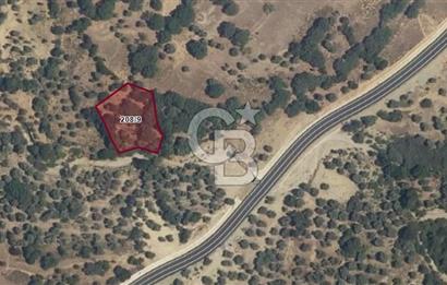 ÇANAKKALE GÖKÇEADA TEPEKÖY SATILIK ZEYTİNLİK 1.800 M2 YATIRIMLIK