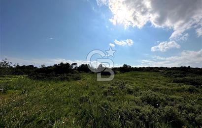 iskele Çayırova'da 1333 m2 arsa