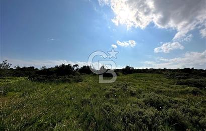 iskele Çayırova'da 1333 m2 arsa