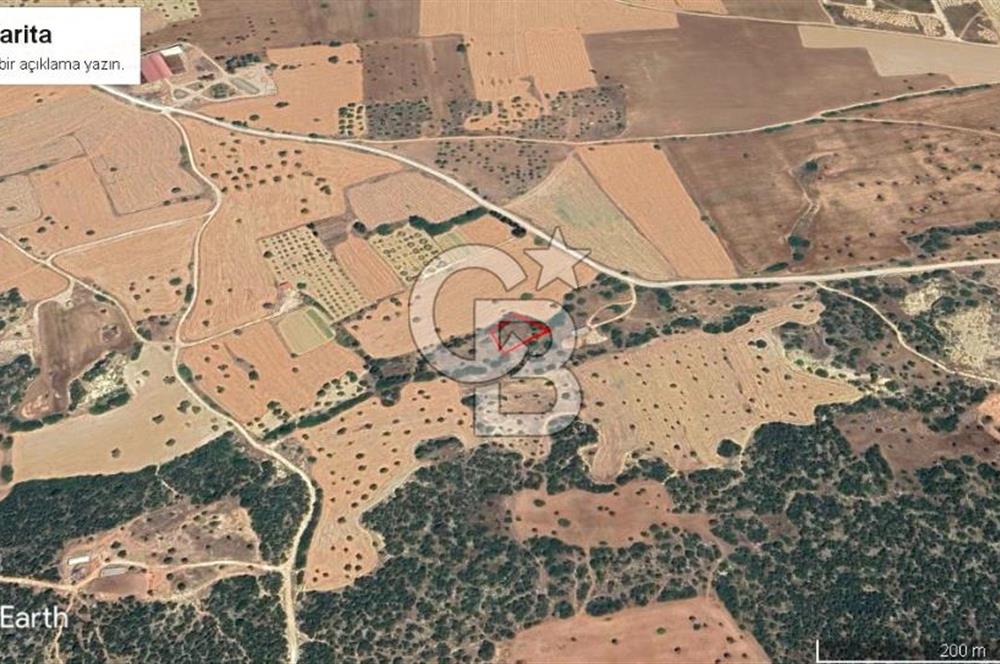 iskele Çayırova'da 1333 m2 arsa