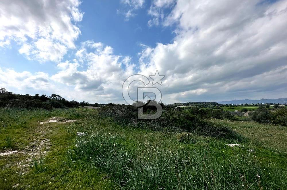 iskele Çayırova'da 1333 m2 arsa