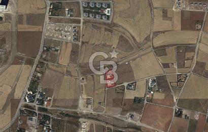 KIZILÇAŞARDA 6000 M2 ARSA İÇİNDE 2 ADET NATAMAM VİLLA