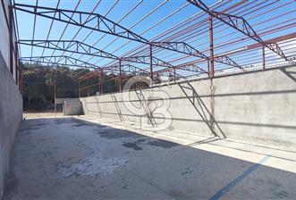 ALİ OVACIKLI'DAN BUCA ZAFER MAH HER BİRİ 250 M2 3 ADET DEPO
