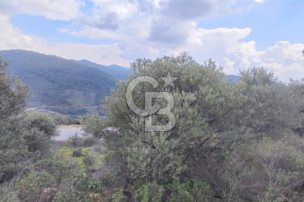 Kısa Süreli Fiyat !Kızıloba Köyü'nde Fırsat Arazi Konteyner yeri