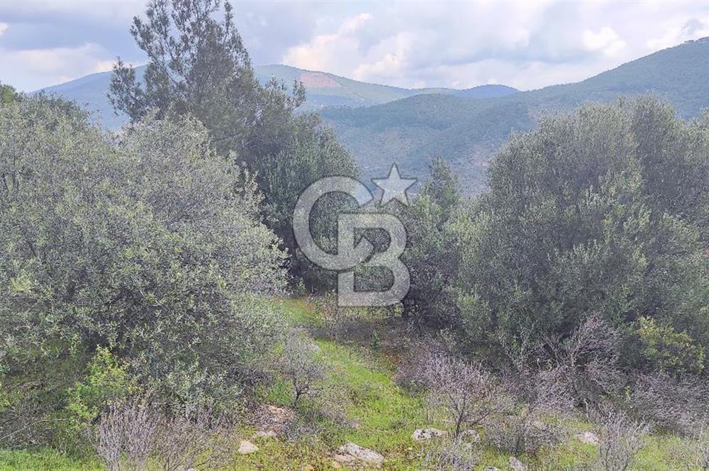Kısa Süreli Fiyat !Kızıloba Köyü'nde Fırsat Arazi Konteyner yeri