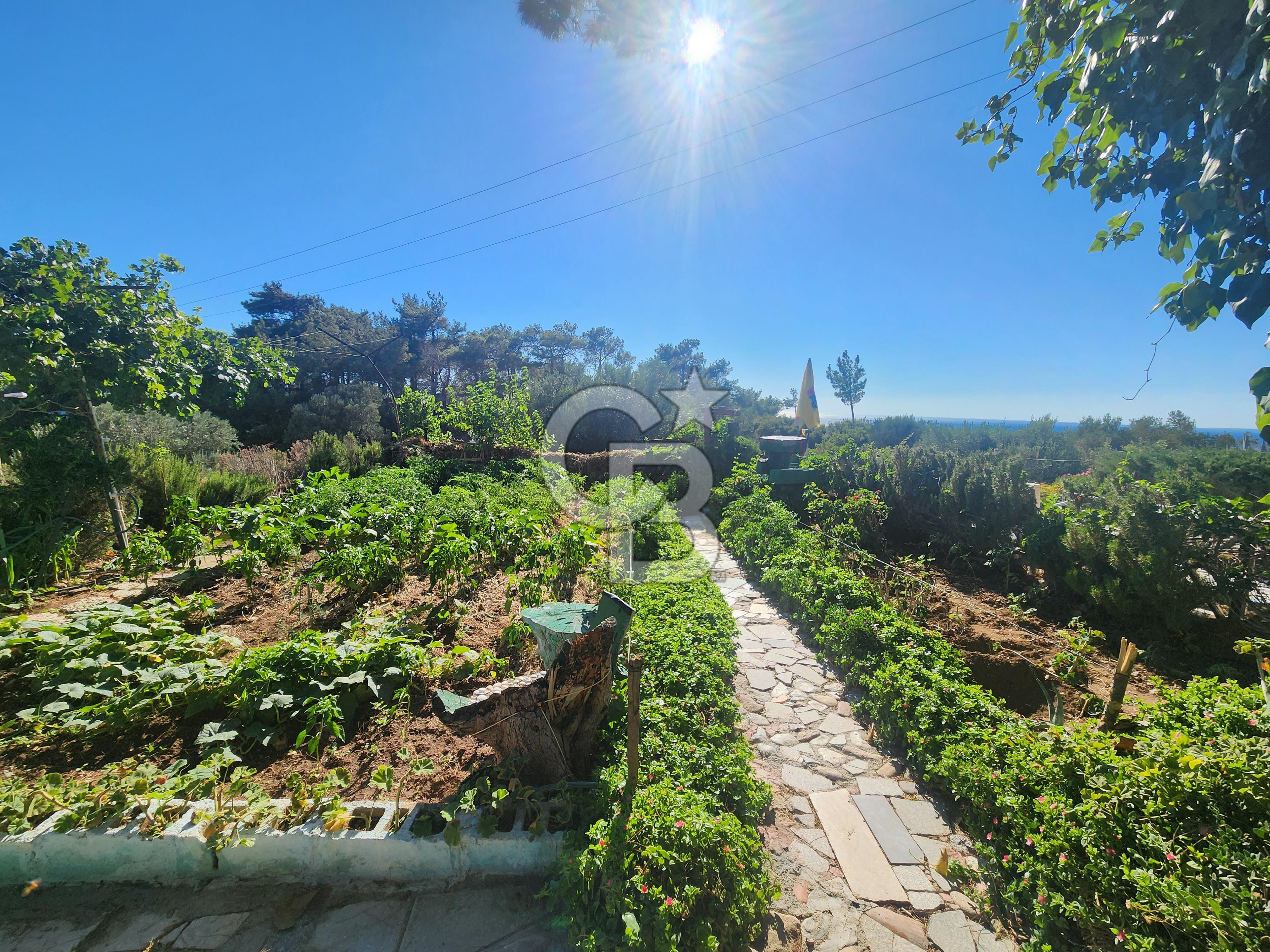 ÇANAKKALE'DE GÜNE BU MANZARADA UYANMAK İSTEMEZ MİSİNİZ?