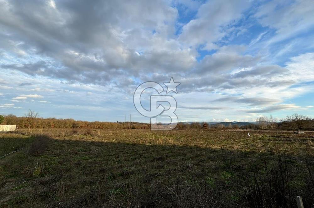 Çanakkale Yenice Kurtlar Köyünde 10.728 M² Satılık Tarla !