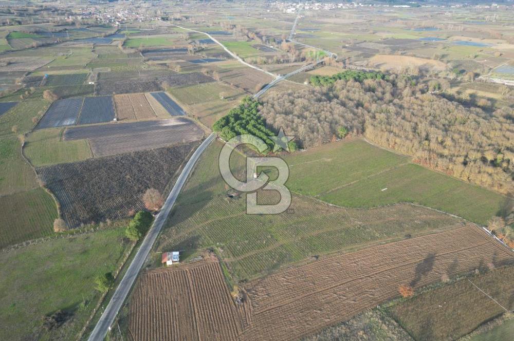 Çanakkale Yenice Kurtlar Köyünde 10.728 M² Satılık Tarla !