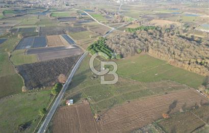 Çanakkale Yenice Kurtlar Köyünde 10.728 M² Satılık Tarla !