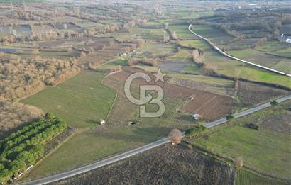 Çanakkale Yenice Kurtlar Köyünde 10.728 M² Satılık Tarla !