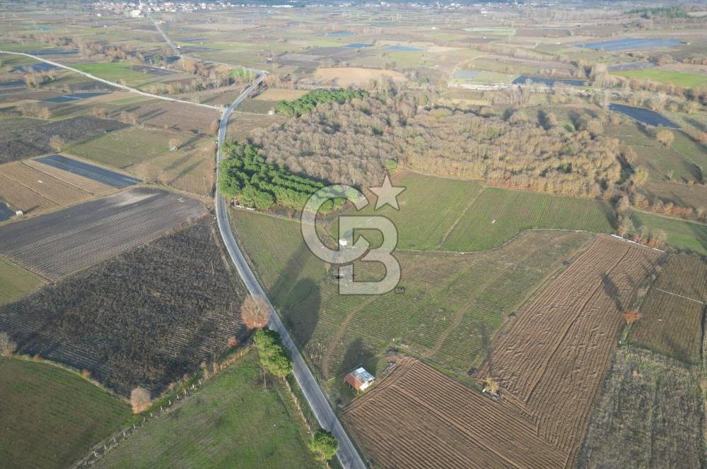 Çanakkale Yenice Kurtlar Köyünde 10.728 M² Satılık Tarla !
