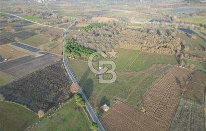 Çanakkale Yenice Kurtlar Köyünde 10.728 M² Satılık Tarla !