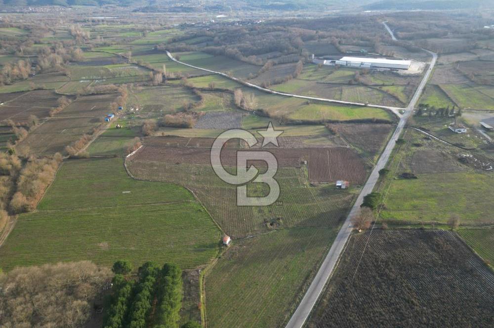 Çanakkale Yenice Kurtlar Köyünde 10.728 M² Satılık Tarla !