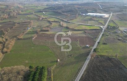 Çanakkale Yenice Kurtlar Köyünde 10.728 M² Satılık Tarla !