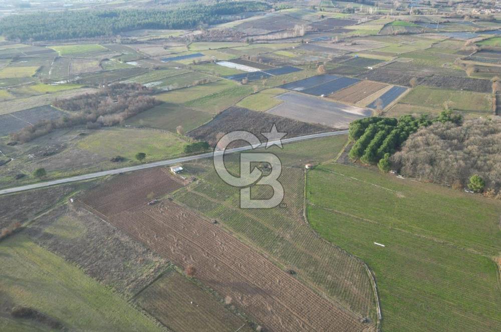 Çanakkale Yenice Kurtlar Köyünde 10.728 M² Satılık Tarla !