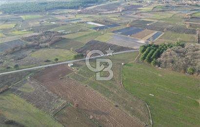 Çanakkale Yenice Kurtlar Köyünde 10.728 M² Satılık Tarla !