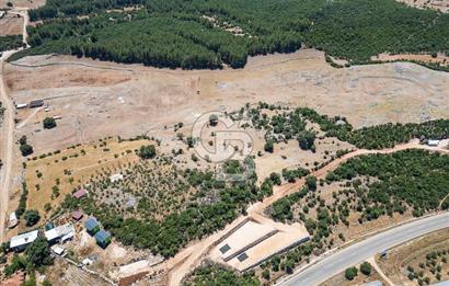 ANTALYA DEMRE YAVU'DA D-400'E KOMŞU, 23.013 m² YATIRIMLIK TARLA