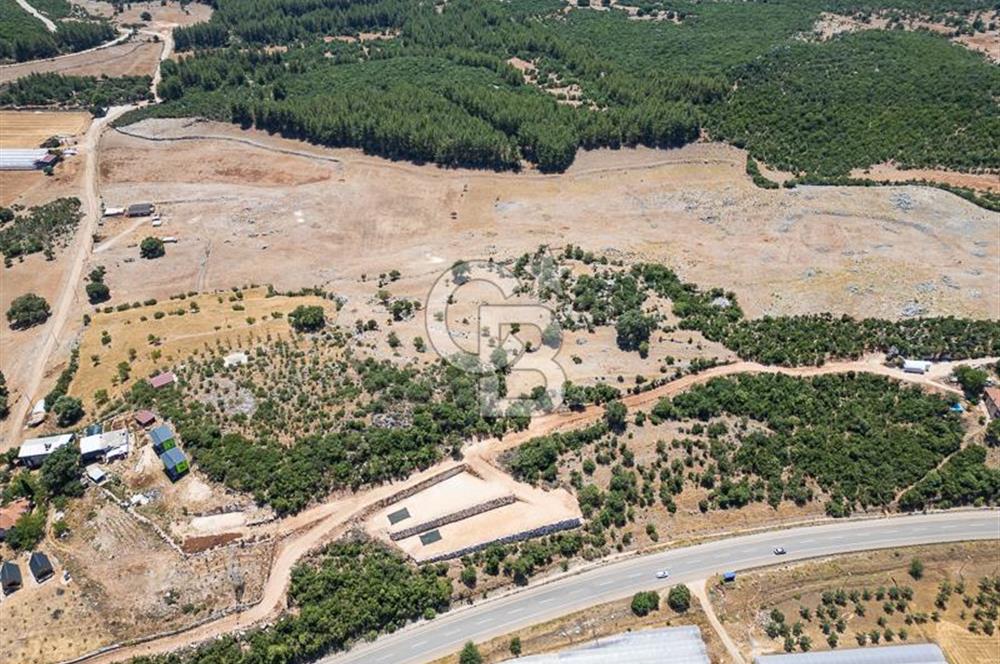 ANTALYA DEMRE YAVU'DA D-400'E KOMŞU, 23.013 m² YATIRIMLIK TARLA