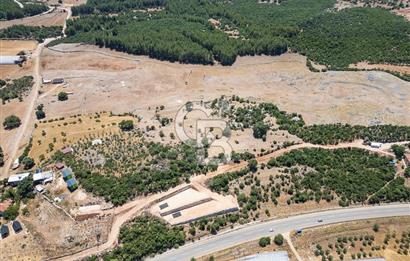 ANTALYA DEMRE YAVU'DA D-400'E KOMŞU, 23.013 m² YATIRIMLIK TARLA