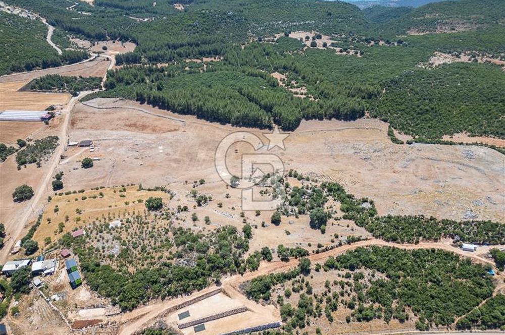 ANTALYA DEMRE YAVU'DA D-400'E KOMŞU, 23.013 m² YATIRIMLIK TARLA