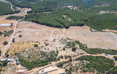 ANTALYA DEMRE YAVU'DA D-400'E KOMŞU, 23.013 m² YATIRIMLIK TARLA