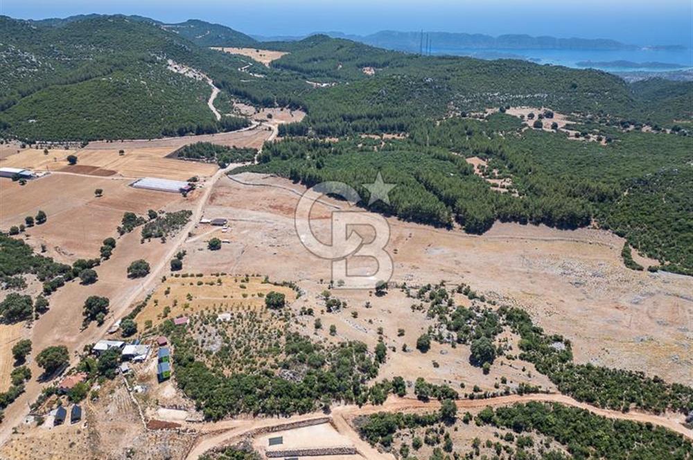 ANTALYA DEMRE YAVU'DA D-400'E KOMŞU, 23.013 m² YATIRIMLIK TARLA
