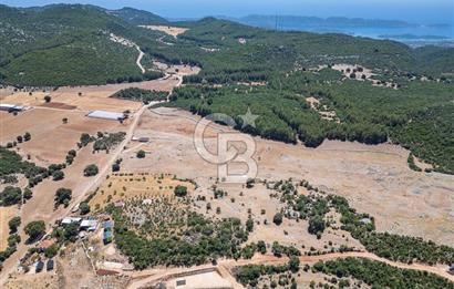 ANTALYA DEMRE YAVU'DA D-400'E KOMŞU, 23.013 m² YATIRIMLIK TARLA