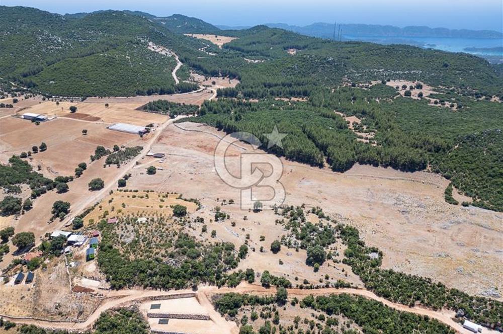 ANTALYA DEMRE YAVU'DA D-400'E KOMŞU, 23.013 m² YATIRIMLIK TARLA