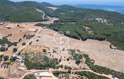 ANTALYA DEMRE YAVU'DA D-400'E KOMŞU, 23.013 m² YATIRIMLIK TARLA
