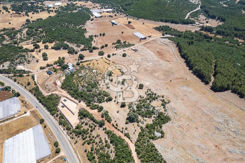 ANTALYA DEMRE YAVU'DA D-400'E KOMŞU, 23.013 m² YATIRIMLIK TARLA