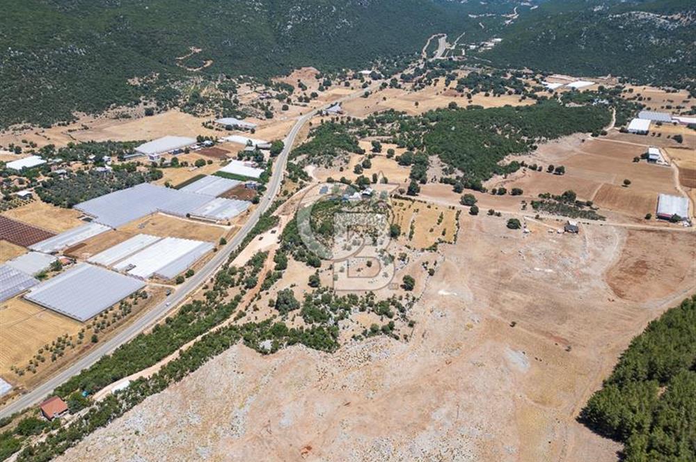 ANTALYA DEMRE YAVU'DA D-400'E KOMŞU, 23.013 m² YATIRIMLIK TARLA