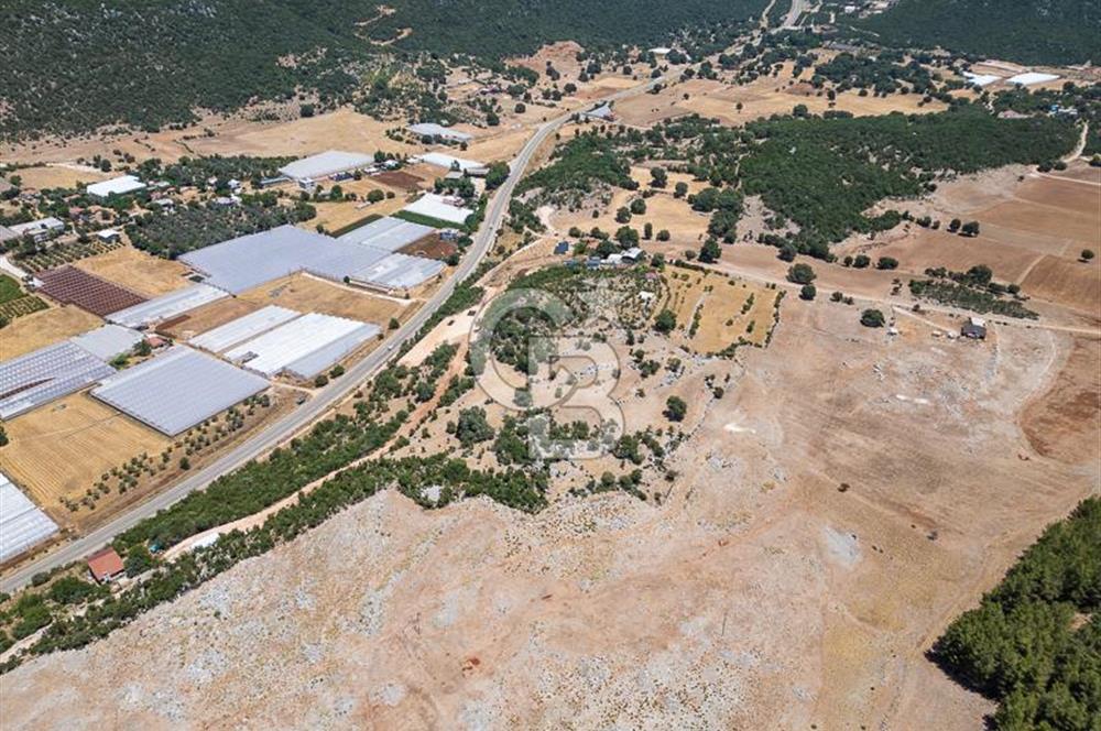 ANTALYA DEMRE YAVU'DA D-400'E KOMŞU, 23.013 m² YATIRIMLIK TARLA